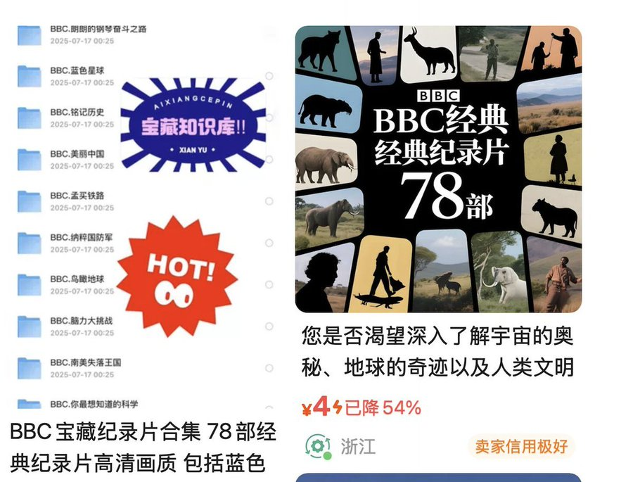 儿童纪录片合集资源：适合家庭筛选与分龄观看的整理思路